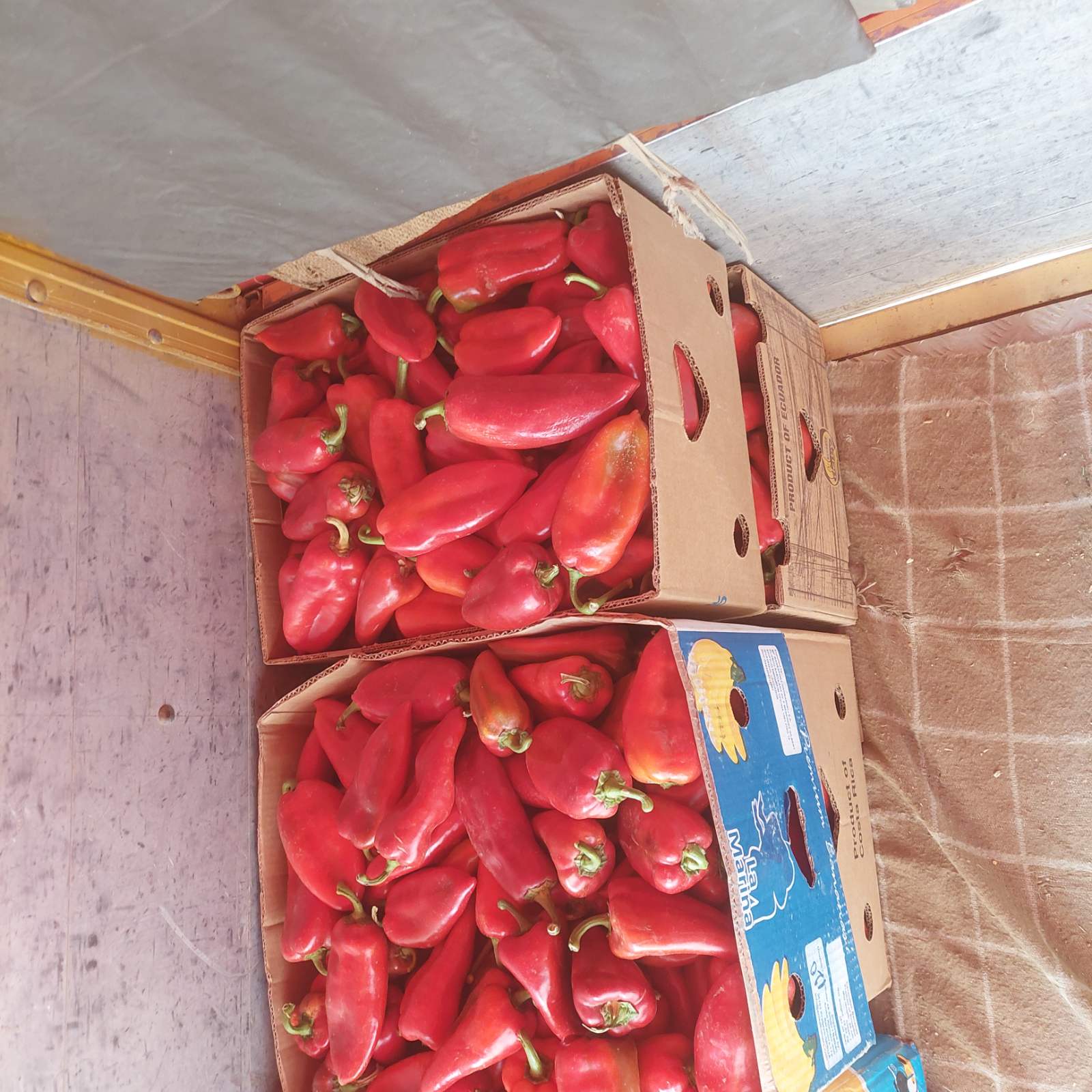 Slika Farme PG Tešanović