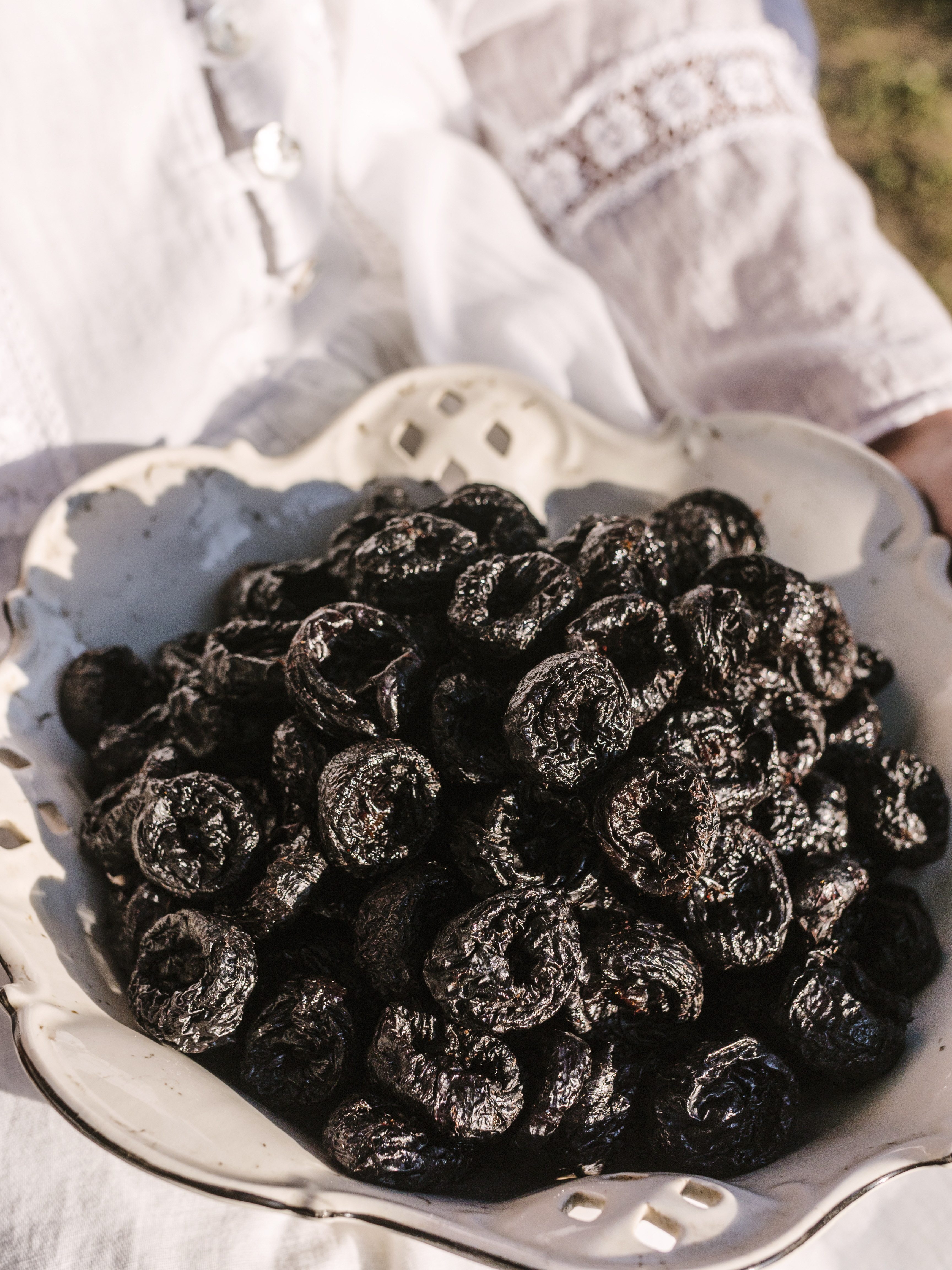 Slika Farme PG Vek-pak