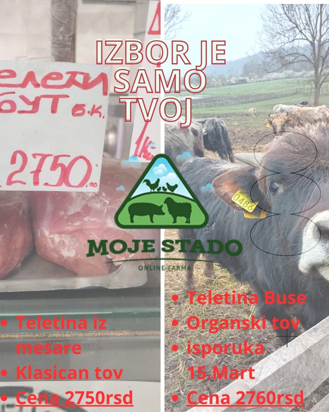 Slika proizvoda Organska teletina sorte Buša  5kg isporuka 25.04.2